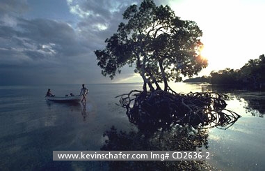 BELIZE: Placencia Lagoon, fishermen returning from catch.