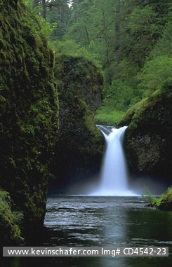 USA, OREGON, COLUMBIA GORGE: Punchbowl Falls, Eagle Creek, Columbia Gorge OREGON 
