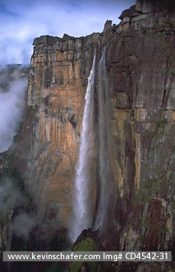 VENEZUELA: Canaima National Park, Angel Falls highest in the world at 3,212 feet, falling to lush wooded forest below.