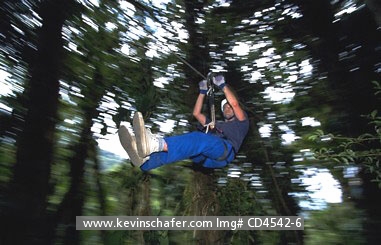 COSTA RICA: Costa Rica, Monteverde Cloud Forest, Tourist on Sky Trek Canopy Tour.  Costa Rica is a prime destination for ecotourism.