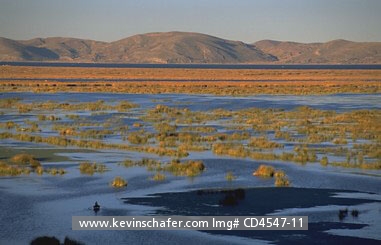 PERU, LAKE TITICACA: Boats negotiate tortora reed beds in lake, mountains in background.