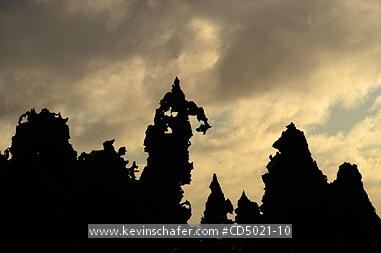 NIUE ISLAND: Niue Island, Togo area, Silhouette of eroded limestone rock.
