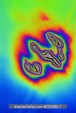 PATTERNS: Light on water : Color pattern (Digitally enhanced)