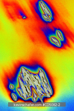 PATTERNS: Light on water : Digitally enhanced.