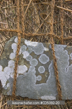 SCOTLAND, SHETLAND ISLANDS: Rocks weigh down traditional thatched roof, South mainland SHETLAND