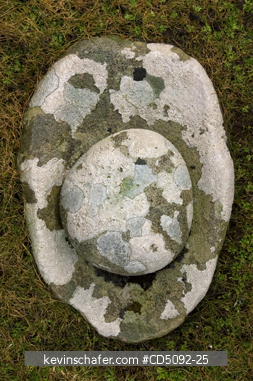 SCOTLAND, SHETLAND ISLANDS: Jarshof Ruins, Lichen covers stone mortar & pestle from excavated Iron Age Settlement