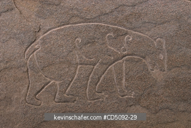 SCOTLAND, SHETLAND ISLANDS: Old Scatness site, Iron Age/Pictish archeological site.  Modern rendition of pictish stone carving. Bear?