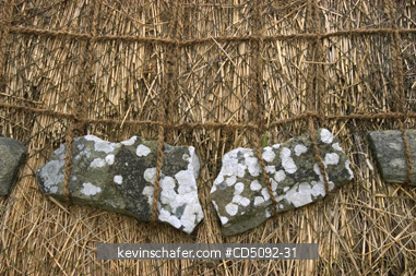 SCOTLAND, SHETLAND ISLANDS: Lichen-covered stones weigh down net over traditional roof thatch.  Old croft house, SHETLAND