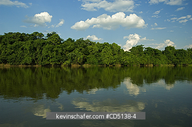 BRAZIL: Piquiri River, Pantanal, Mato Grosso, Brazil.
