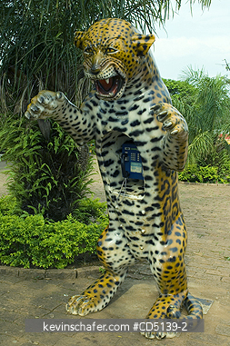 BRAZIL:  Jaguar Phone Booth, Chapada das Guimaraes, Mato Grosso, Brazil.