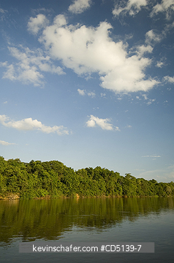 BRAZIL: Afternoon on Piquiri River, Pantanal, Mato Grosso, Brazil.