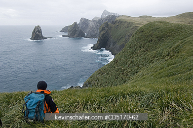 SOUTH GEORGIA ISLAND: Hiker on Bird Island, South Georgia