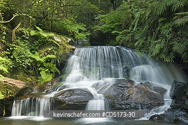MADAGASCAR: Rainforest waterfall, Andasibe-Mantadia National Park, Madagascar, August 2006
