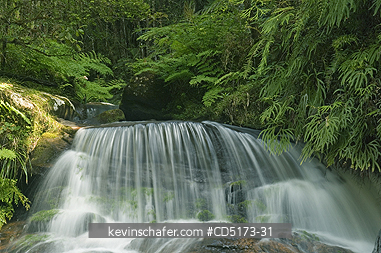 MADAGASCAR: Rainforest waterfall, Andasibe-Mantadia National Park, Madagascar, August 2006
