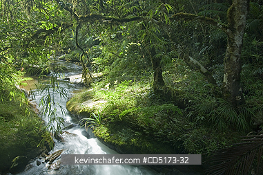 MADAGASCAR: Rainforest waterfall, Andasibe-Mantadia National Park, Madagascar, August 2006
