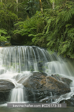 MADAGASCAR: Rainforest waterfall, Andasibe-Mantadia National Park, Madagascar, August 2006
