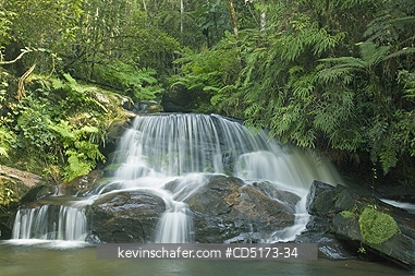 MADAGASCAR: Rainforest waterfall, Andasibe-Mantadia National Park, Madagascar, August 2006

