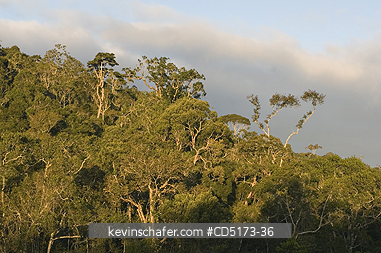 MADAGASCAR: Sunset over montane rainforest, Andasibe-Mantadia National Park, Perinet Reserve, Madagascar, August 2006, wild.