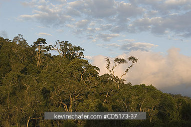 MADAGASCAR: Sunset over rainforest, Andasibe-Mantadia National Park, Madagascar
