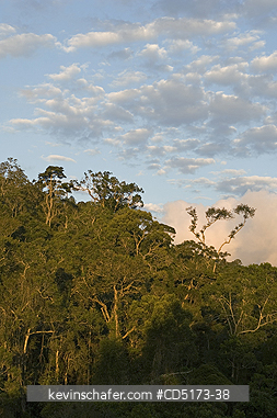 MADAGASCAR: Sunset over rainforest, Andasibe-Mantadia National Park, Madagascar
