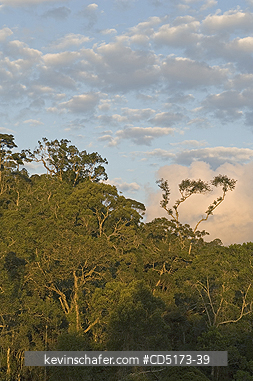 MADAGASCAR: Sunset over rainforest, Andasibe-Mantadia National Park, Madagascar
