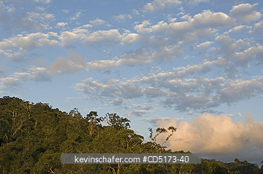 MADAGASCAR: Sunset over rainforest, Andasibe-Mantadia National Park, Madagascar
