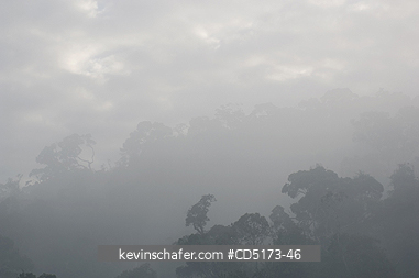 MADAGASCAR: Fog over rainforest, Andasibe-Mantadia National Park, Perinet Reserve, Madagascar, August 2006, wild.