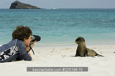 SEA LION, GALAPAGOS: Galapagos Sea Lion, (Zalophus wollebaeki) ,with Tourist, GALAPAGOS IS.