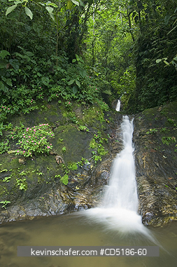 ECUADOR: Rainforest waterfall, El Oro Province, WESTERN ECUADOR