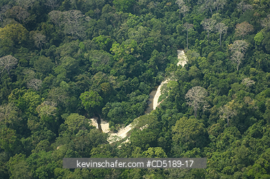 PANAMA: Aerial of tropical forest near Cana, Darien National Park, Panama