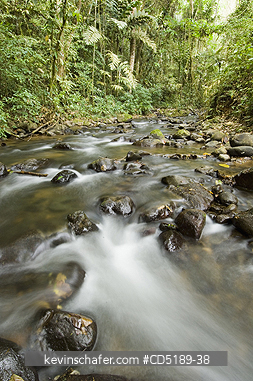 PANAMA: Cana River and rainforest, Darien National Park PANAMA