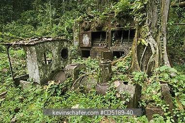PANAMA: Ruins of Espiritu Santo Mine, Cana, Darien National Park, Panama
