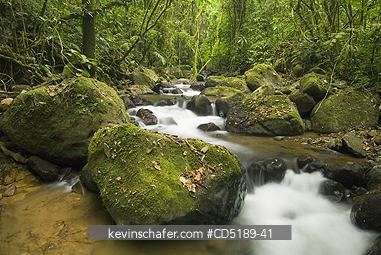 PANAMA: Cana River and rainforest, Darien National Park PANAMA