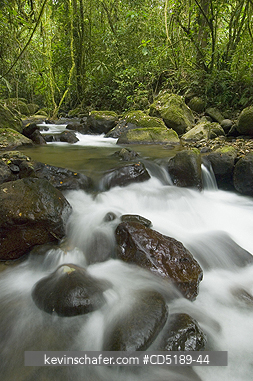 PANAMA: Cana River and rainforest, Darien National Park PANAMA