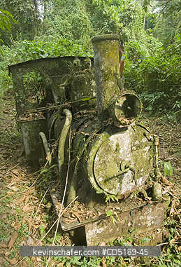 PANAMA: Ruins of Espiritu Santo Mine, locomotive, Cana, Darien National Park, Panama