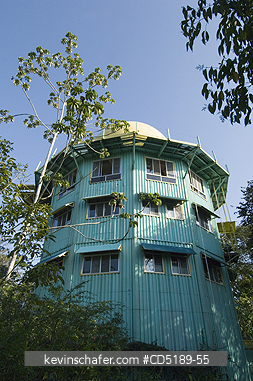 PANAMA: Canopy Tower Lodge, Soberania National Park, Panama