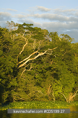 MADAGASCAR: Ravelobe Lake & dry forest, Ankarafantsika National Park, Madagascar