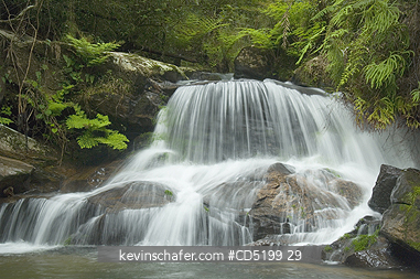 MADAGASCAR: Madagascar, Mantadia National Park, Waterfall