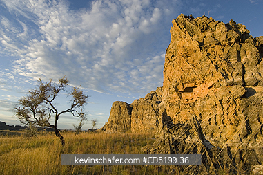 MADAGASCAR: Madagascar, Isalo National Park, Dawn over grasslands