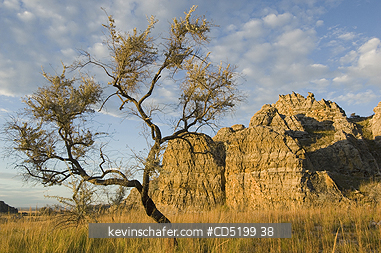 MADAGASCAR: Madagascar, Isalo National Park, Dawn over grasslands