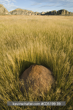 INSECTS, MADAGASCAR: Madagascar, Isalo National Park, Termite Mound in grasslands