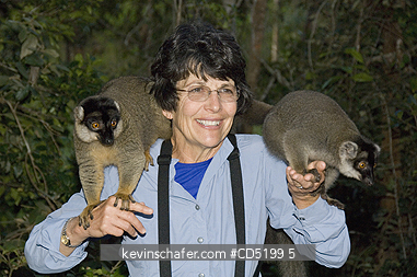MADAGASCAR: Tourist Susan Macy with tame Brown lemurs, Vakona Lodge, Madagascar