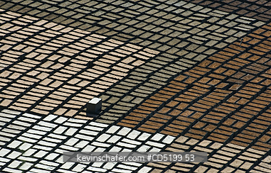 MADAGASCAR: Madagascar, Bricks set out to dry, near Antananarivo