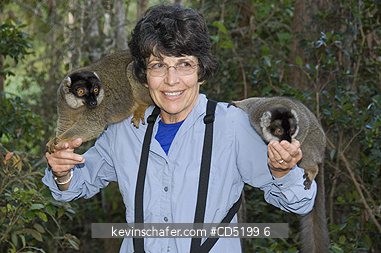 MADAGASCAR: Tourist Susan Macy with tame Brown lemurs, Vakona Lodge, Madagascar