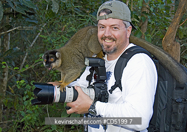 MADAGASCAR: Tourist Steve Shuey with tame Brown lemurs, Vakona Lodge, Madagascar