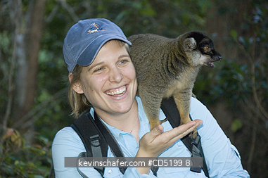 MADAGASCAR: Tourist Meg Macy with captive Brown lemurs, Vakona Lodge, Madagascar