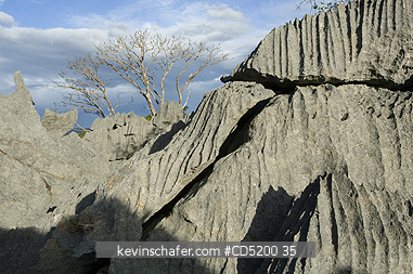 MADAGASCAR: Eroded Limestone Landscape or \\\
