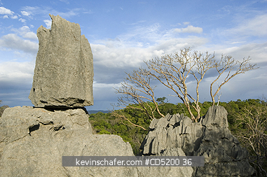 MADAGASCAR: Eroded Limestone Landscape or \\\