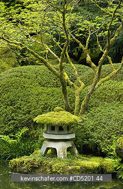 OREGON, USA: USA, Oregon, Portland, Japanese Garden in spring