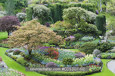CANADA, BUTCHART GARDEN: Sunken Garden, MAY, Butchart Gardens, Spring, Vancouver Island, BC  Canada